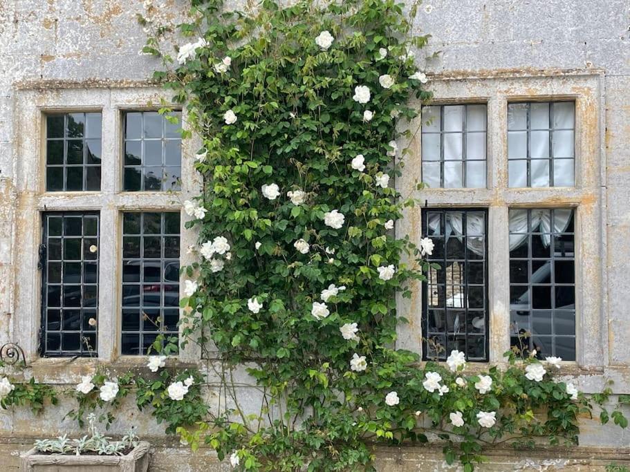 Escape To Ash House 18Th Century Manor In Somerset Martock Eksteriør bilde