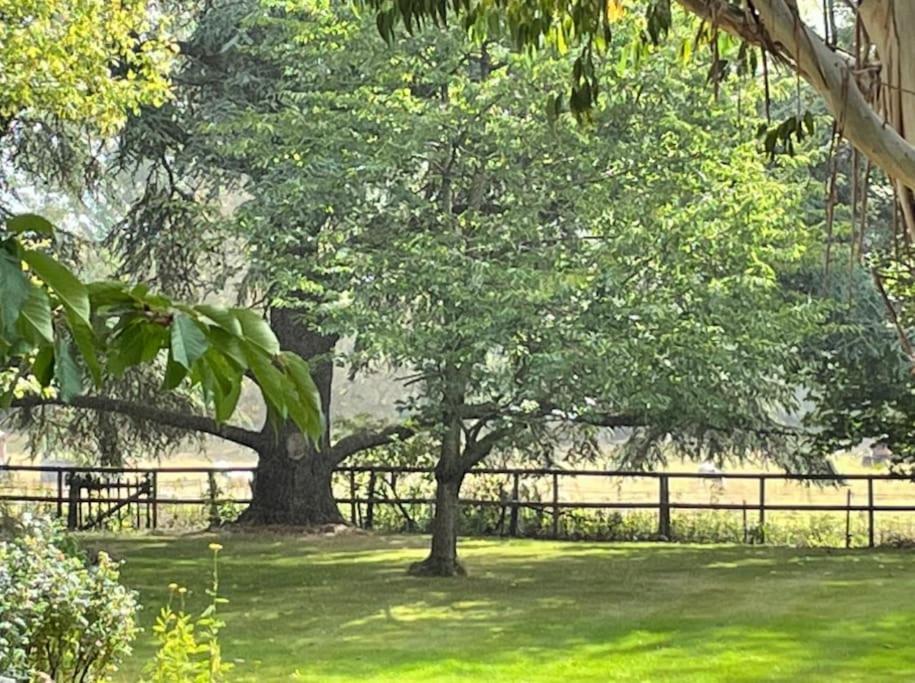 Escape To Ash House 18Th Century Manor In Somerset Martock Eksteriør bilde