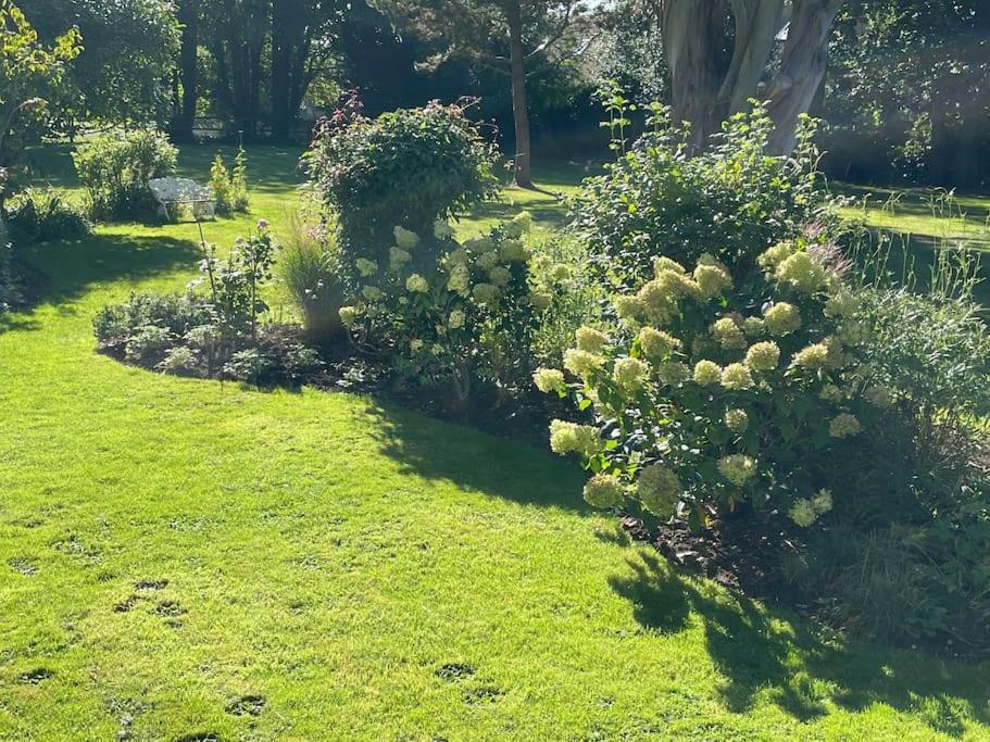 Escape To Ash House 18Th Century Manor In Somerset Martock Eksteriør bilde