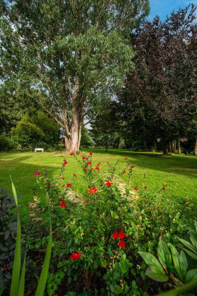 Escape To Ash House 18Th Century Manor In Somerset Martock Eksteriør bilde