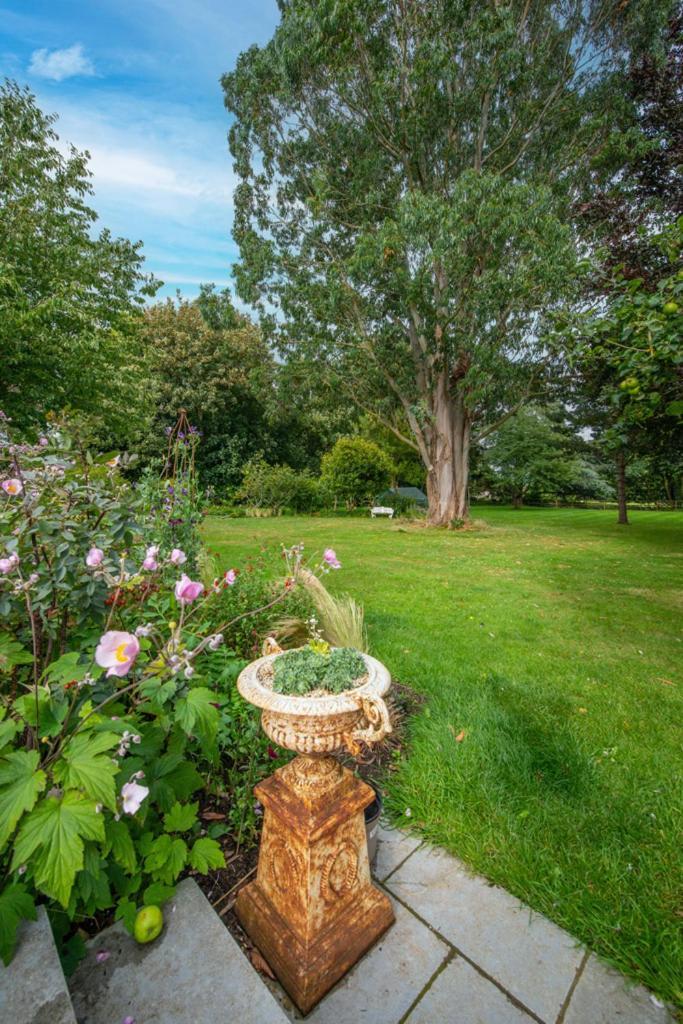 Escape To Ash House 18Th Century Manor In Somerset Martock Eksteriør bilde