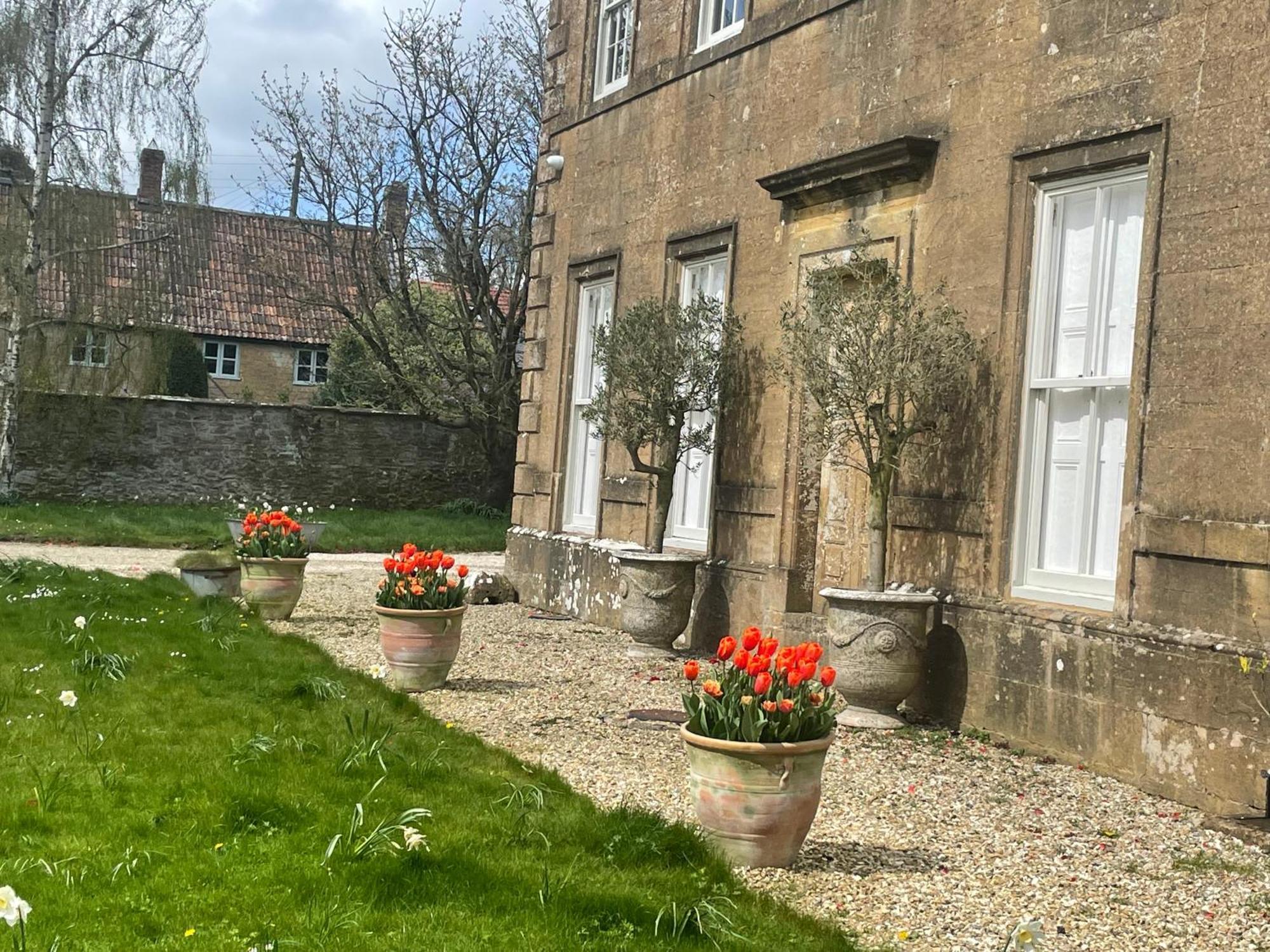 Escape To Ash House 18Th Century Manor In Somerset Martock Eksteriør bilde